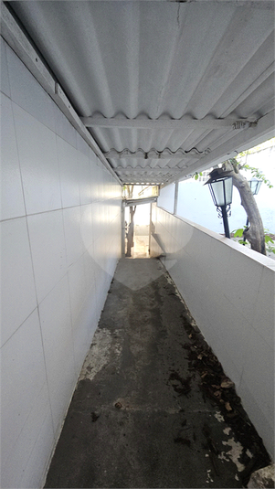 Foto REO1136449