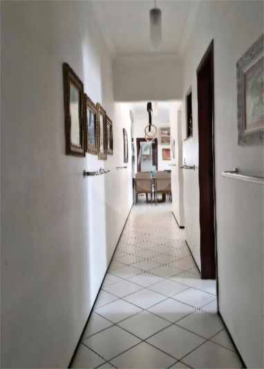 Foto REO1136456