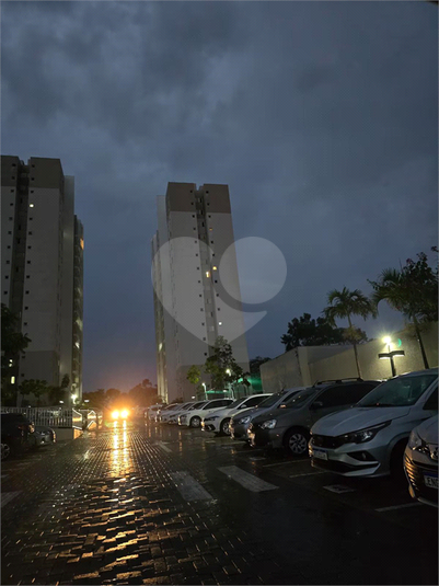 Foto REO1136458
