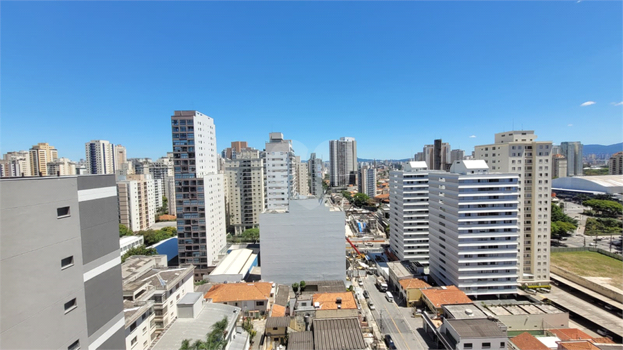 Foto REO1136483