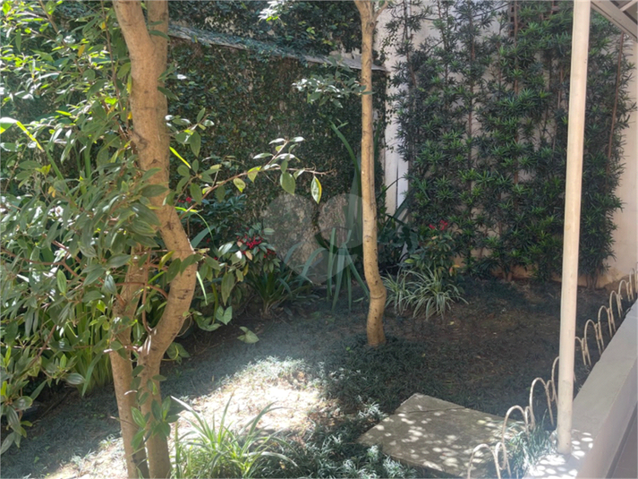 Foto REO1136491