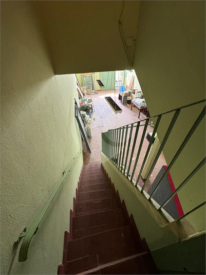 Foto REO1136504