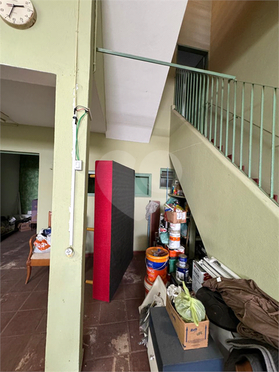 Foto REO1136504