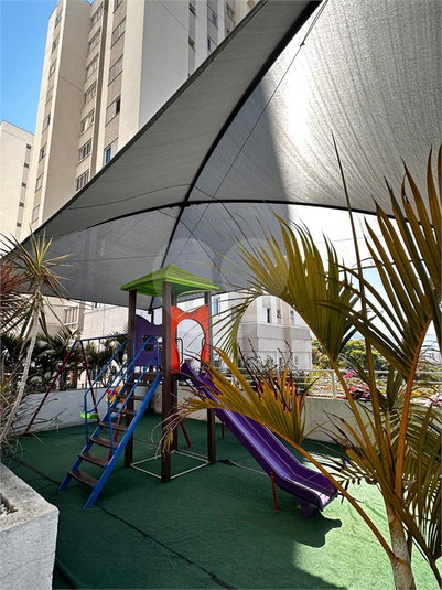 Foto REO1136510