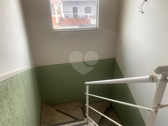Foto REO1136523