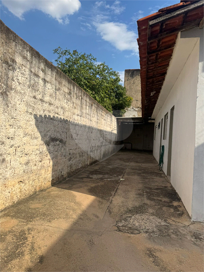 Foto REO1136527