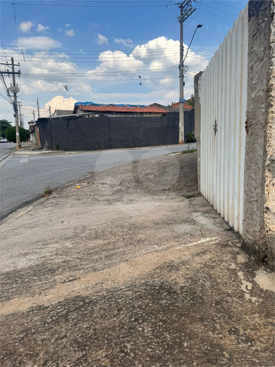 Foto REO1136527