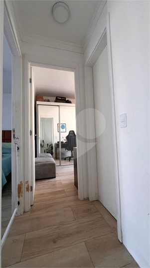 Foto REO1136529