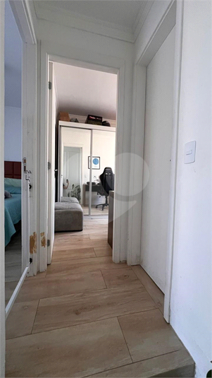 Foto REO1136529