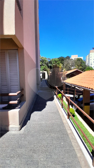 Foto REO1136533