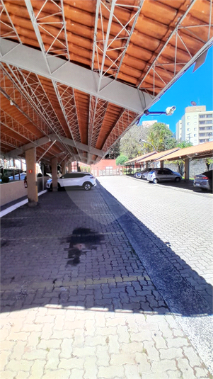 Foto REO1136533