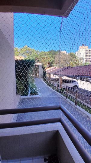 Foto REO1136533