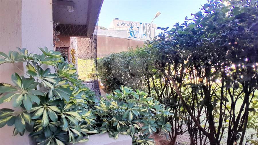 Foto REO1136533