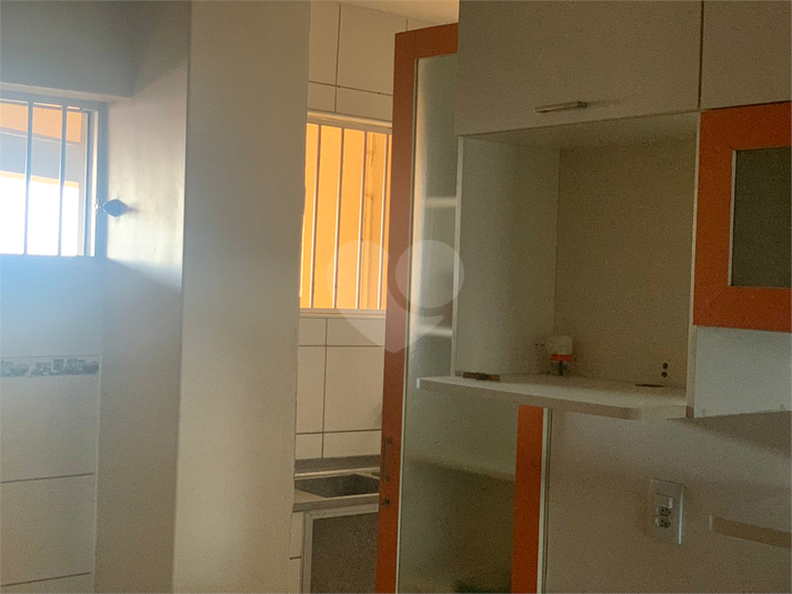 Foto REO1136538