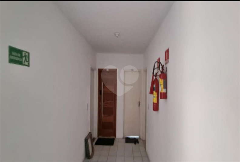 Foto REO1136608