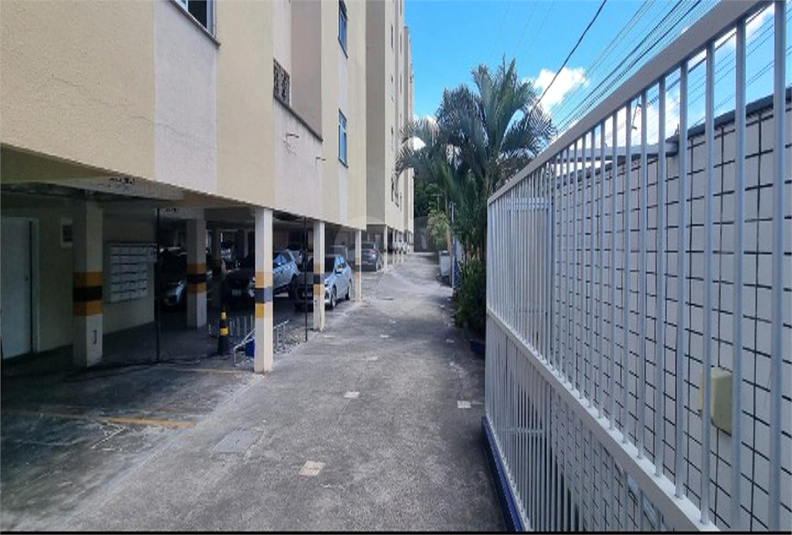 Foto REO1136608