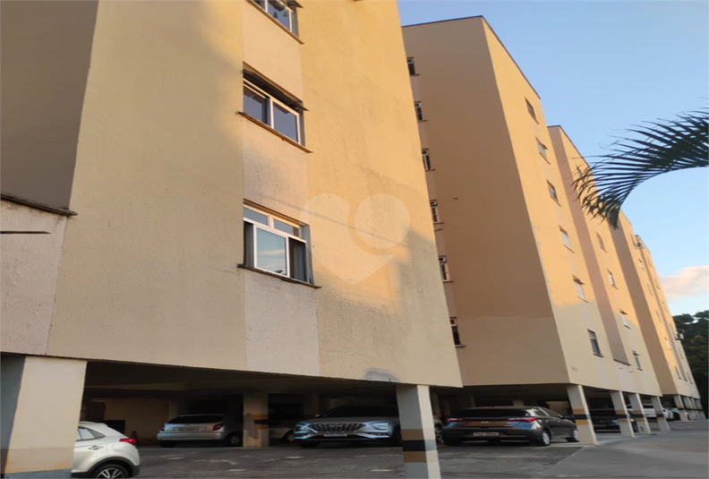 Foto REO1136608