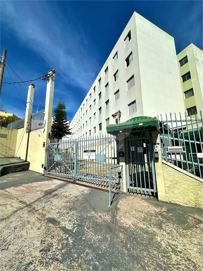 Foto REO1136620