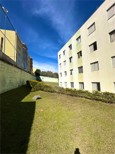 Foto REO1136620