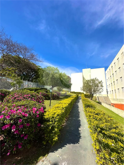 Foto REO1136620