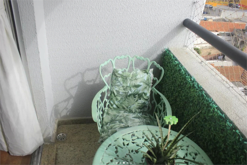 Foto REO1136626
