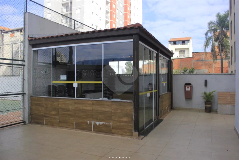 Foto REO1136626