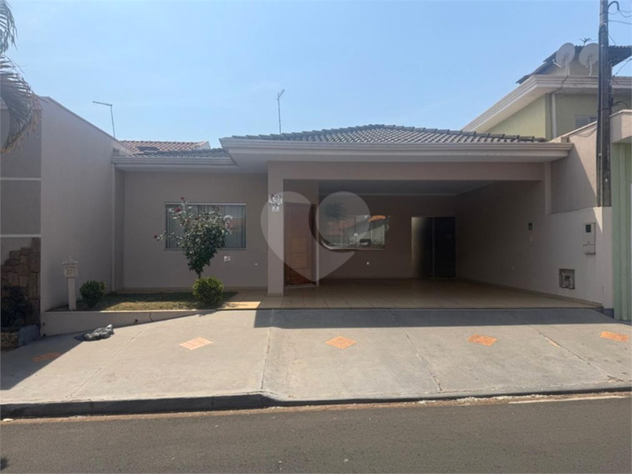 Foto REO1136665