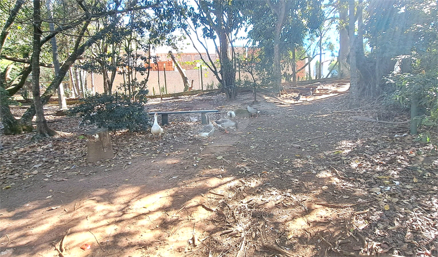 Foto REO1136665