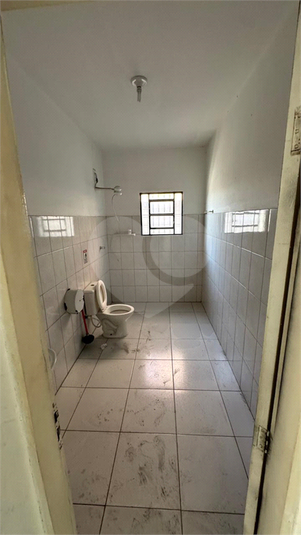 Foto REO1136722