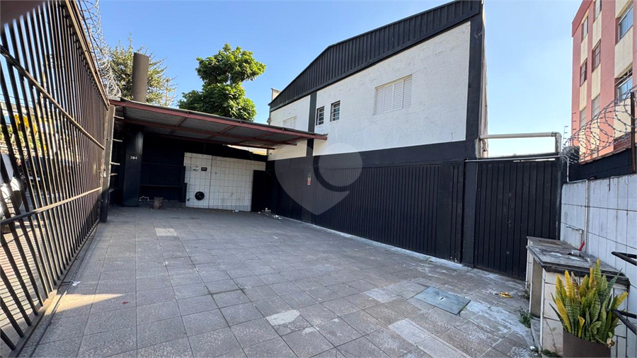 Foto REO1136722