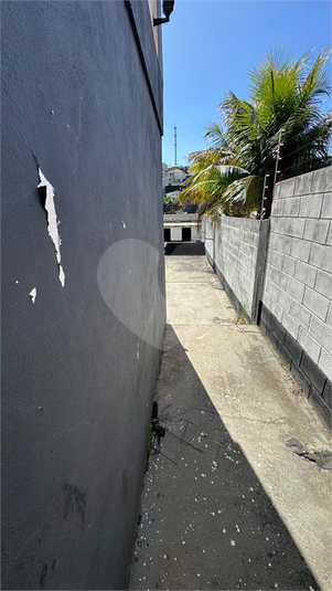 Foto REO1136722