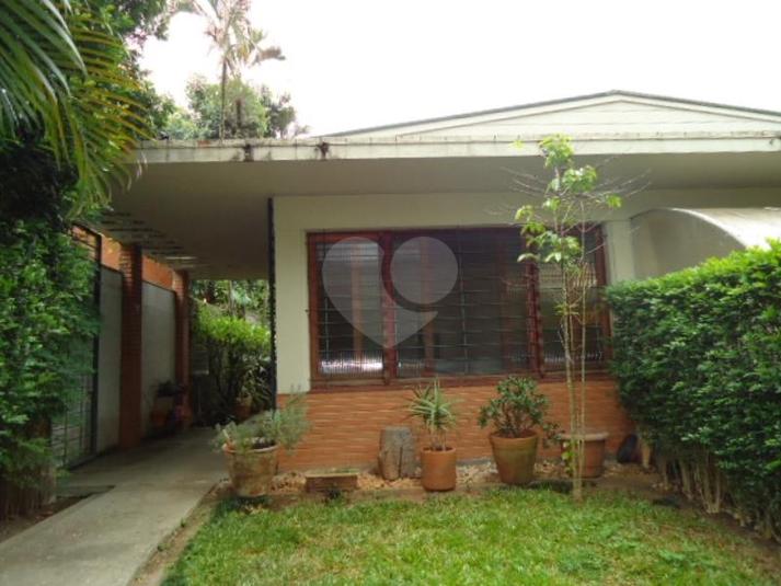 Foto REO113673