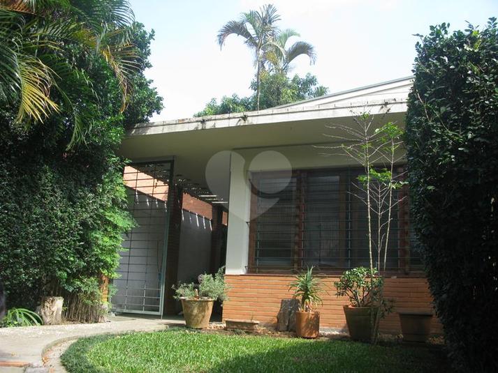 Foto REO113673