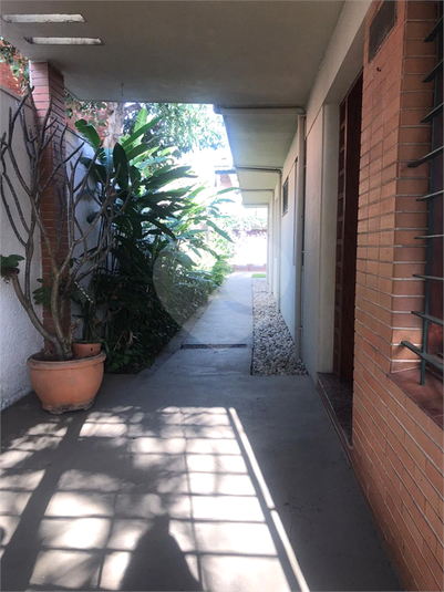 Foto REO113673