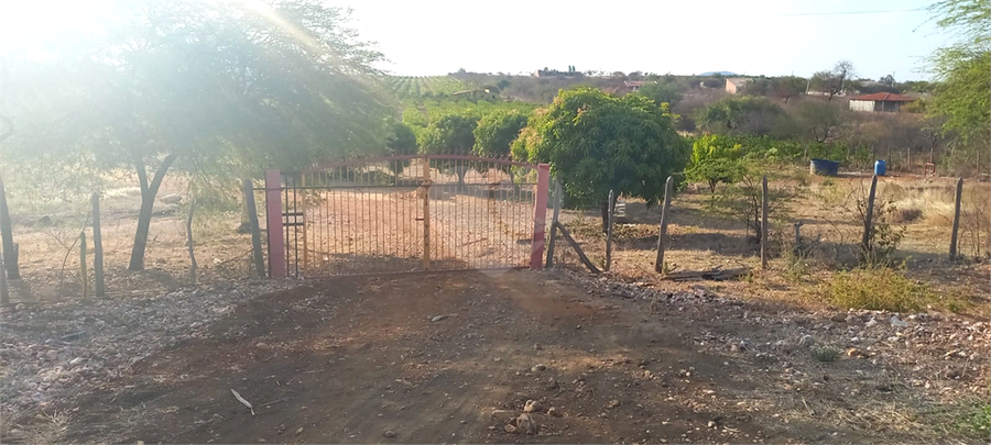 Foto REO1136746