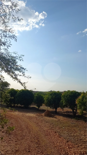 Foto REO1136746