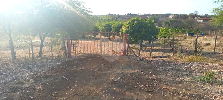 Foto REO1136746