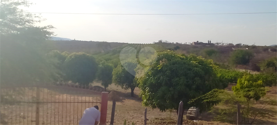 Foto REO1136746