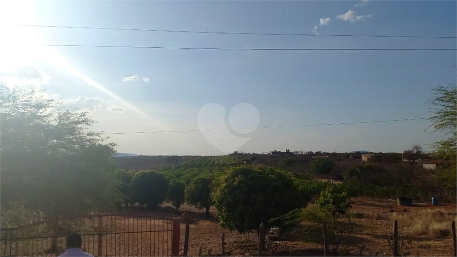 Foto REO1136746