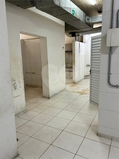 Foto REO1136761