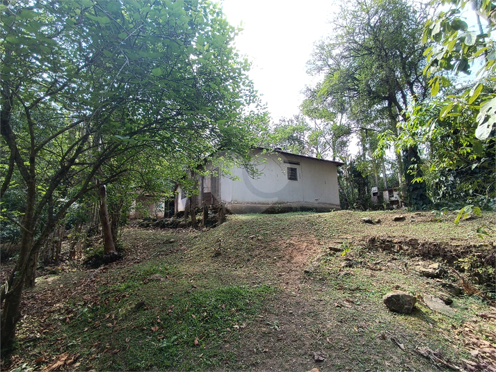 Foto REO1136780