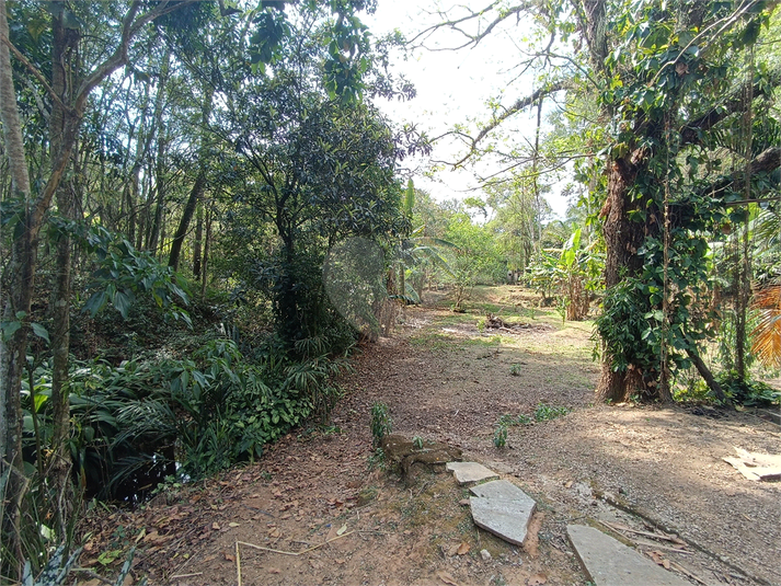Foto REO1136780