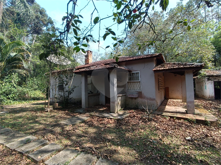 Foto REO1136780