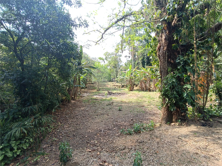 Foto REO1136780