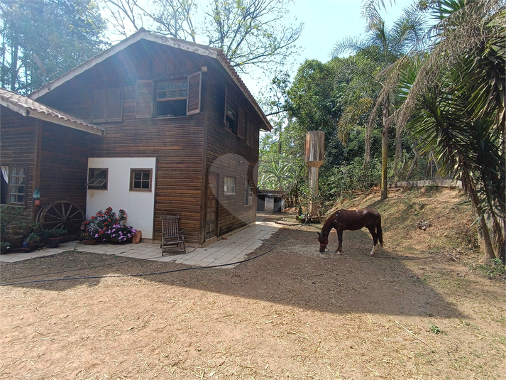 Foto REO1136780