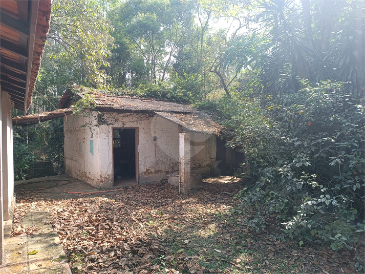 Foto REO1136780