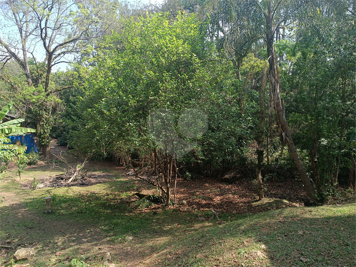 Foto REO1136780