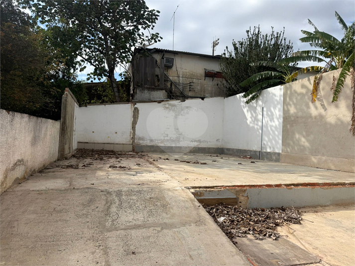 Foto REO1136793