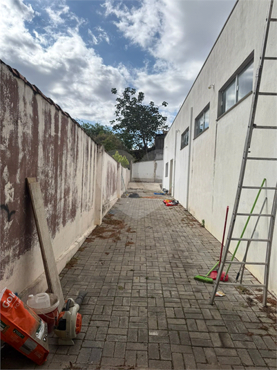 Foto REO1136793