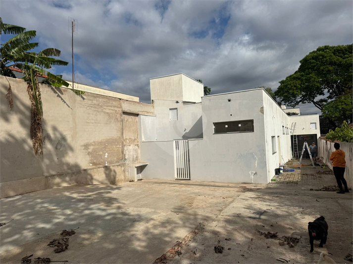 Foto REO1136793